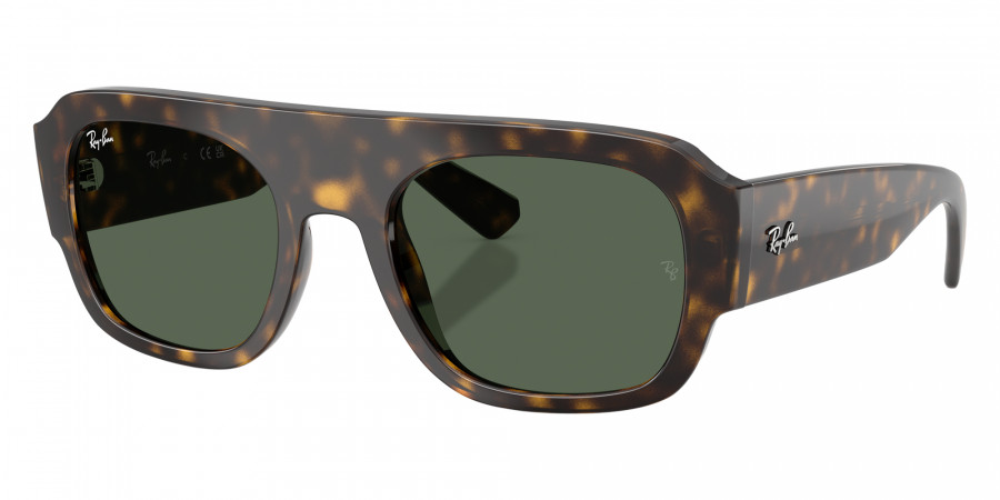 Ray-Ban™ - RB2218