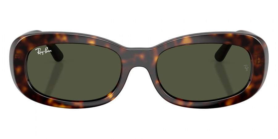 Ray-Ban™ - RB2221