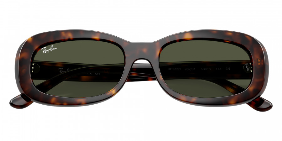 Ray-Ban™ - RB2221