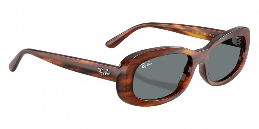 Ray-Ban™ - RB2221