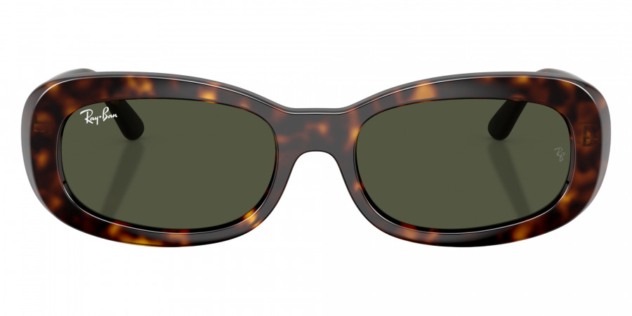 Ray-Ban™ - RB2221F