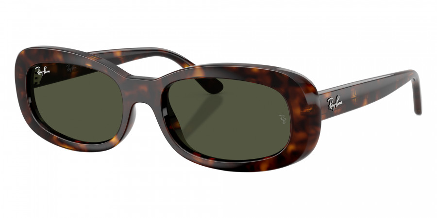 Ray-Ban™ - RB2221F