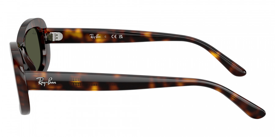 Ray-Ban™ - RB2221F