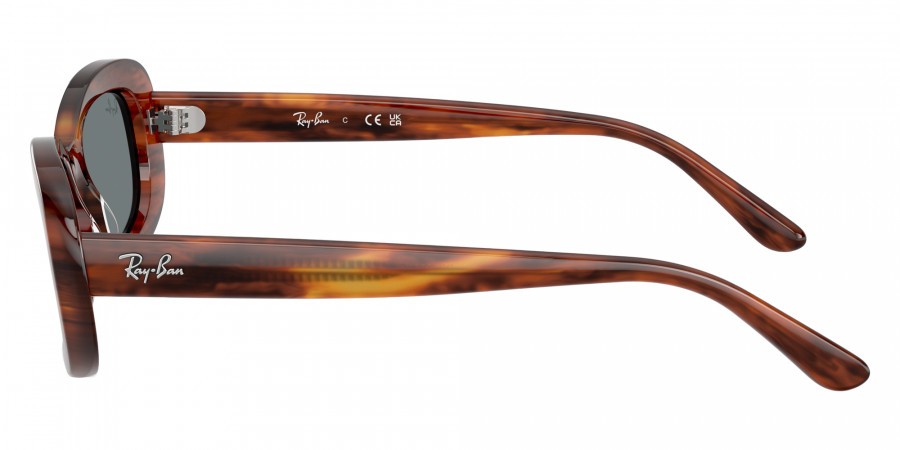 Ray-Ban™ - RB2221F