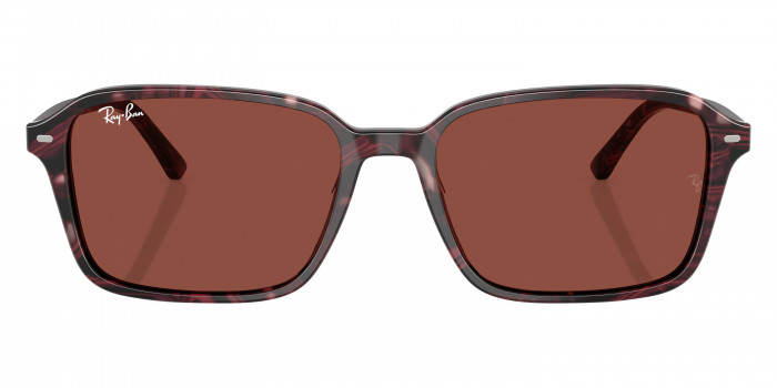Ray-Ban™ - Raimond RB2231