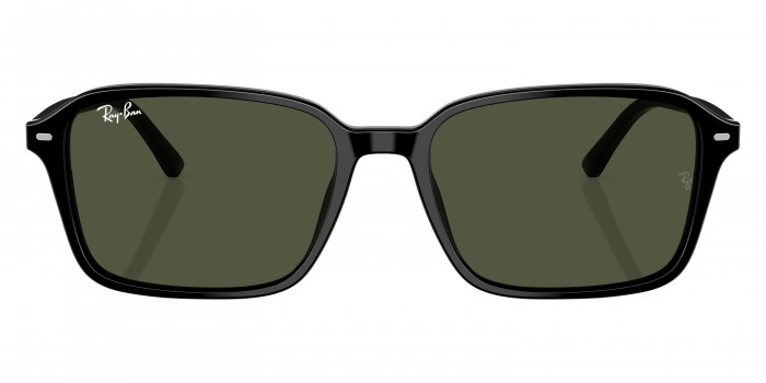 Ray-Ban™ Raimond RB2231 901/31 56 - Black
