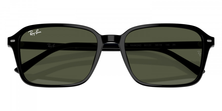 Ray-Ban™ - Raimond RB2231