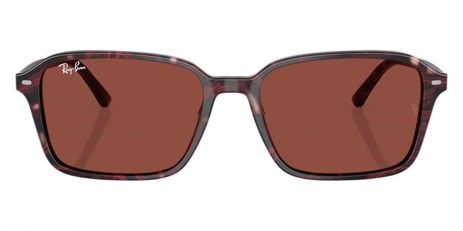 Ray-Ban™ - Raimond RB2231F