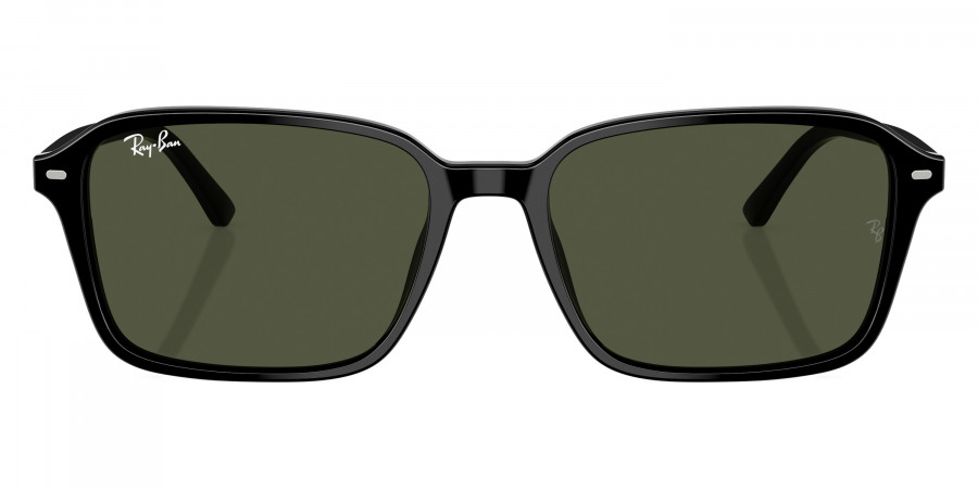 Ray-Ban™ - Raimond RB2231F