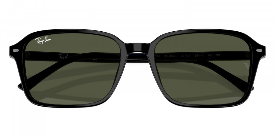 Ray-Ban™ - Raimond RB2231F