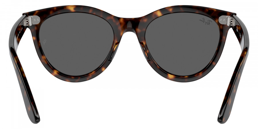 Ray-Ban™ - Wayfarer Way RB2241