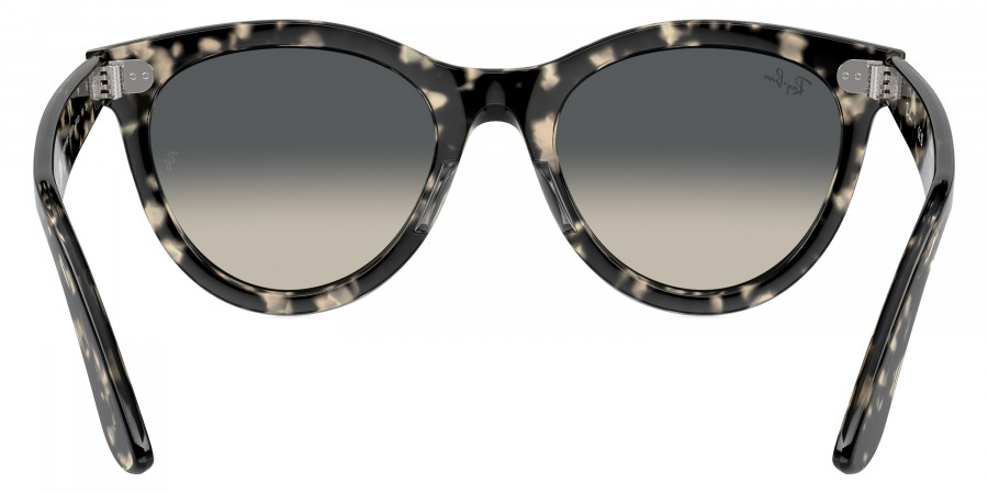 Ray-Ban™ - Wayfarer Way RB2241