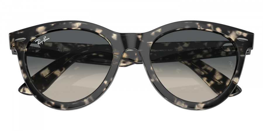 Ray-Ban™ - Wayfarer Way RB2241