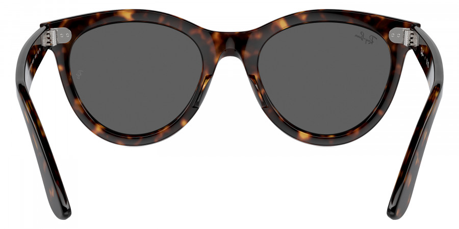 Ray-Ban™ - Wayfarer Way RB2241