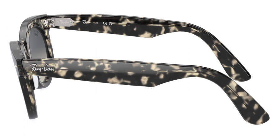 Ray-Ban™ - Wayfarer Oval RB2242F
