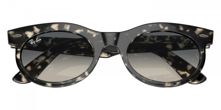 Ray-Ban™ - Wayfarer Oval RB2242F