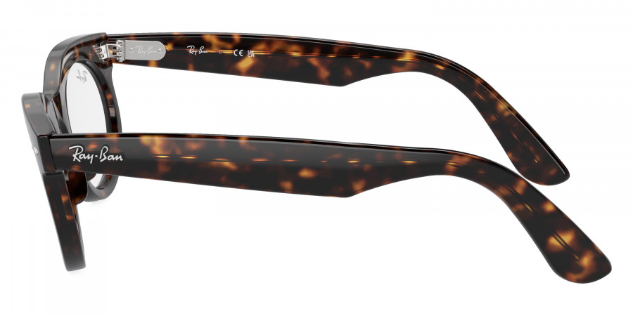 Ray-Ban™ - Wayfarer Oval RB2242F
