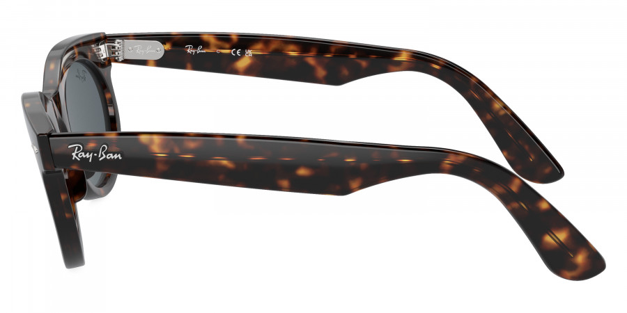 Ray-Ban™ - Wayfarer Oval RB2242F