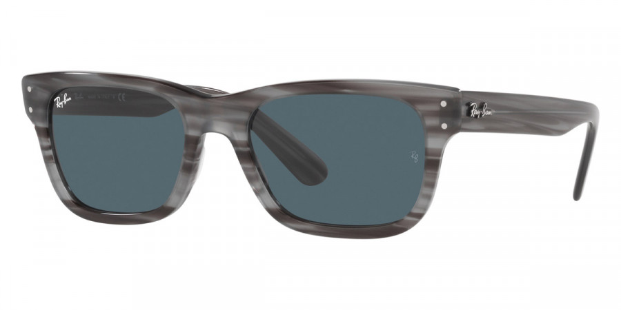 Ray-Ban™ - Mr Burbank RB2283