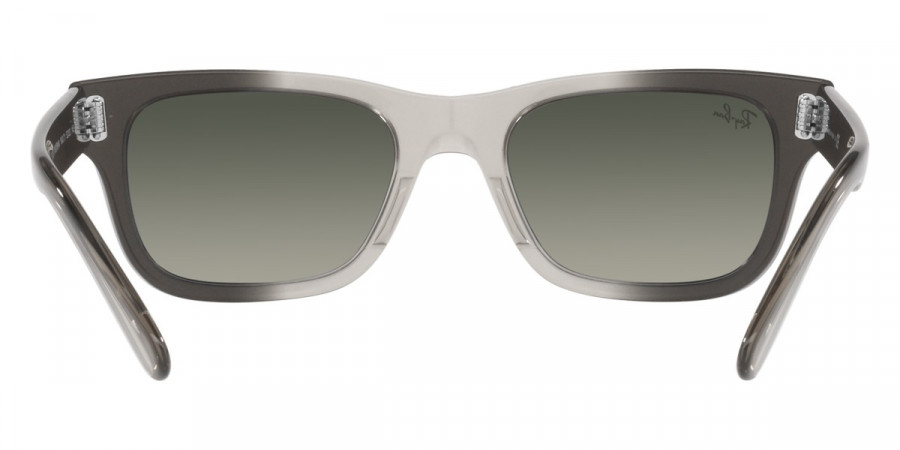 Ray-Ban™ - Mr Burbank RB2283F