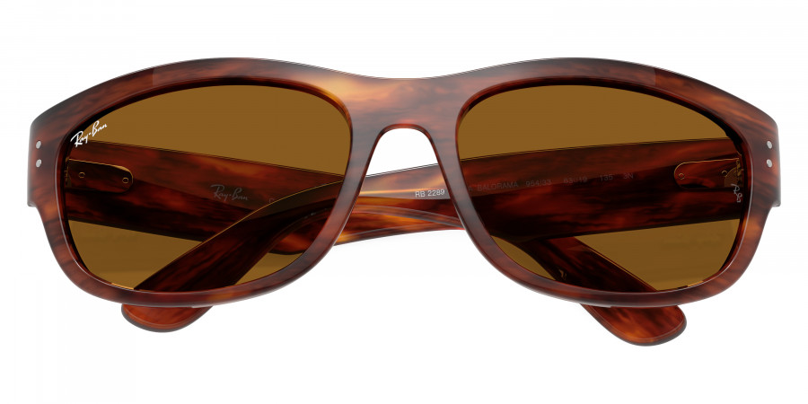 Ray-Ban™ - Mega Balorama RB2289