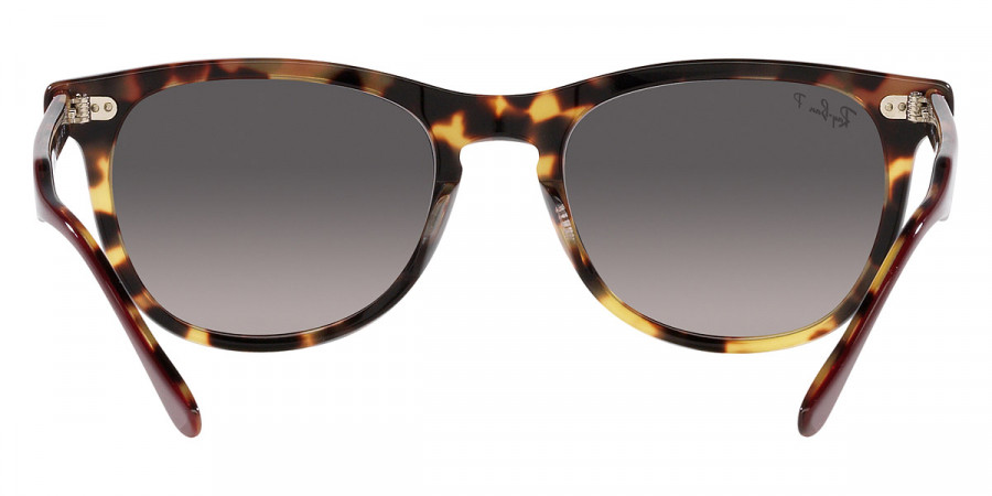 Ray-Ban™ - Eagleeye RB2398