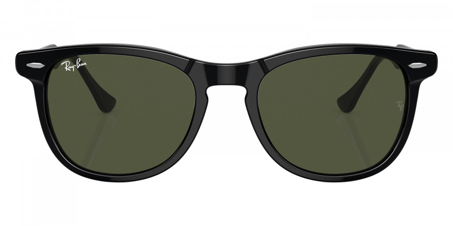 Ray-Ban™ - Eagleeye RB2398F