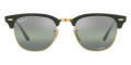 Green on Gold / Silver/Green Polarized