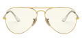 Arista / Photochromic Gray