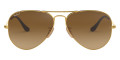 Arista / Brown Gradient Polarized