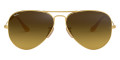 Matte Arista / Brown Gradient Dark Brown