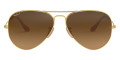 Matte Arista / Brown Gradient Polarized