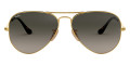 Gold / Light Gray Gradient Dark Gray