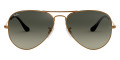 Bronze / Light Gray Gradient Dark Gray