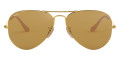 Arista / Photochromic Brown