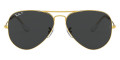 Legend Gold / Black Polarized