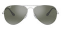 Silver / Gray Mirrored