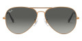 Shiny Bronze / Light Gray Gradient Dark Gray
