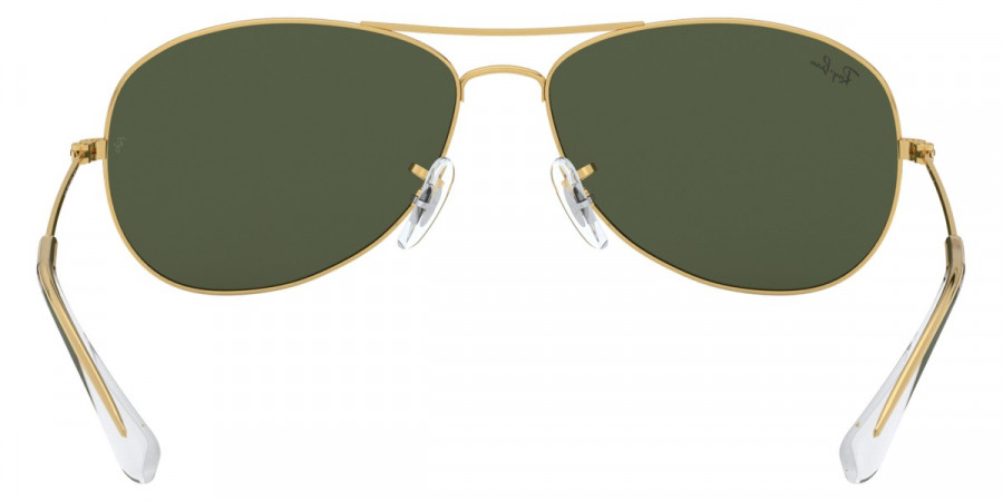 Ray-Ban™ - Cockpit RB3362