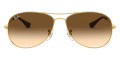 Arista / Clear Gradient Brown