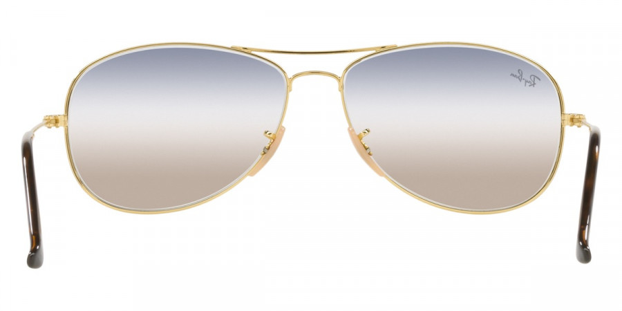 Ray-Ban™ - Cockpit RB3362