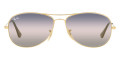 Arista / Pink Gradient Blue
