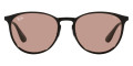 Black / Evolve Photochromic Brown To Dark Bro