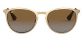 Matte Arista / Gray Gradient Brown Polarized