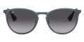Metallic Gray / Light Gray Gradient Dark Gray
