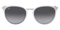 Brushed Silver / Gray Gradient Dark Gray