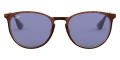 Havana / Dark Violet 913476