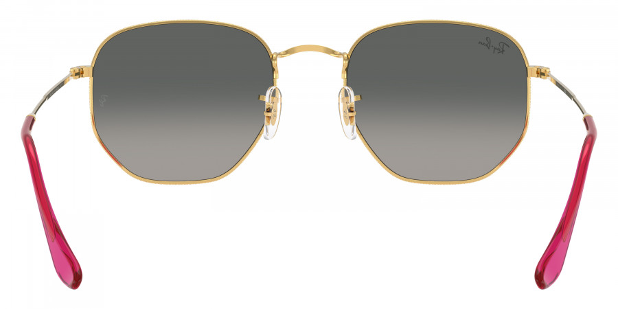 Ray-Ban™ - Hexagonal RB3548N