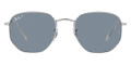 Silver / Blue Polarized