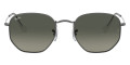 Gunmetal / Light Gray Gradient Dark Gray